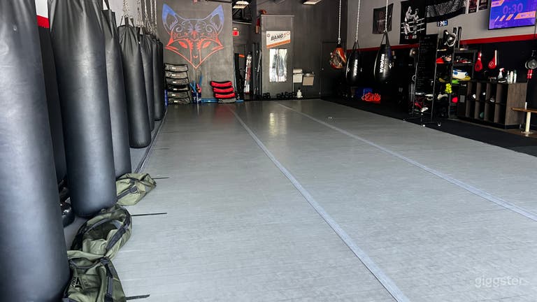  Gimnasio de artes marciales/boxeo 