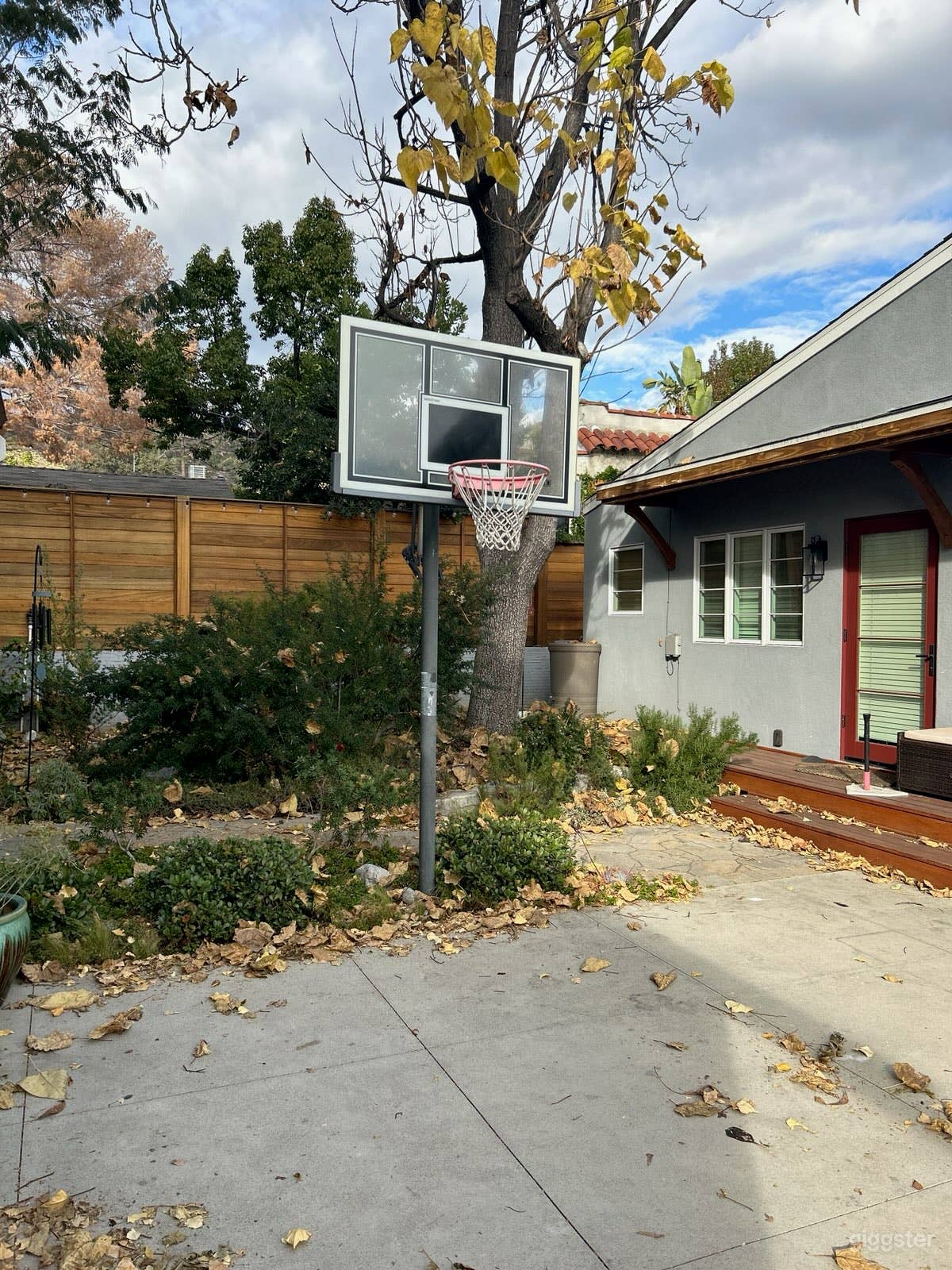 Half Basketball Court in L.A. Photo 4