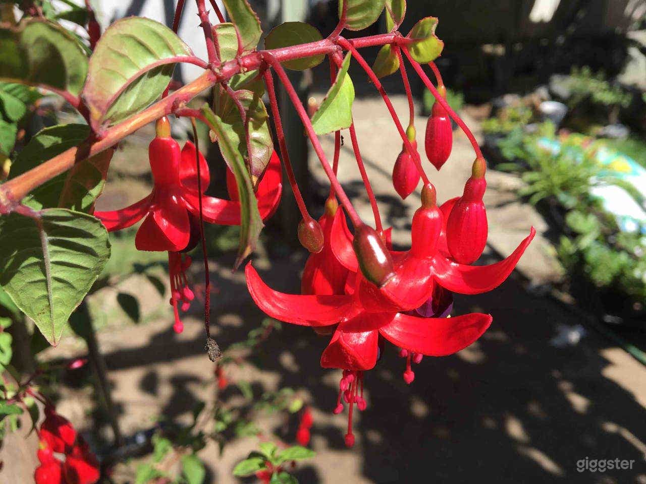 Garden and flower nursery
