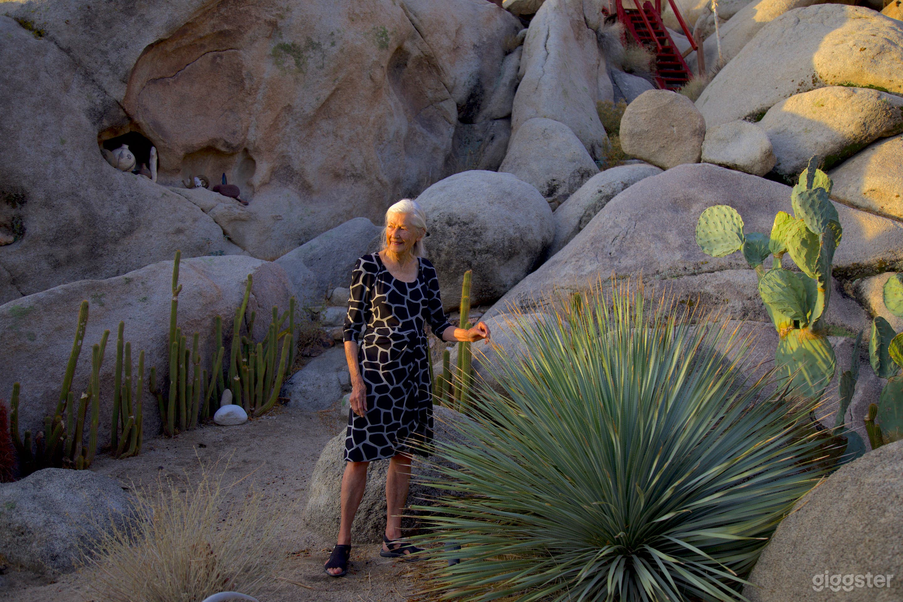 Lucious Cactus Gardens with Huge Boulders &amp; valley Photo 2