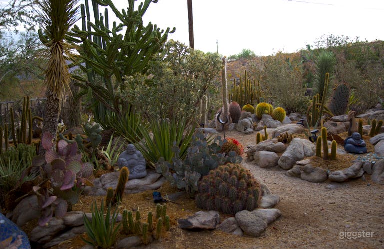  Cactus garden front 