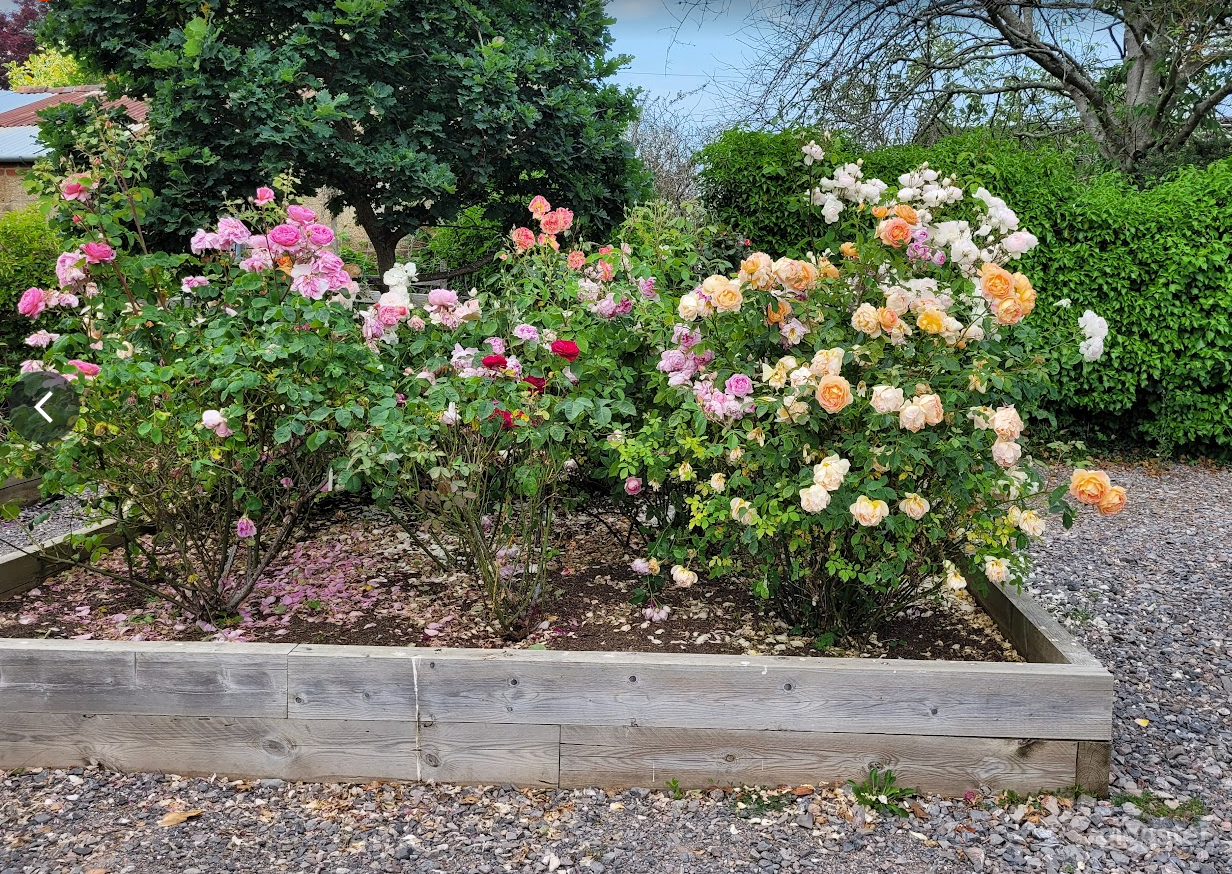 Spacious Garden with Fishing Lake Photo 4