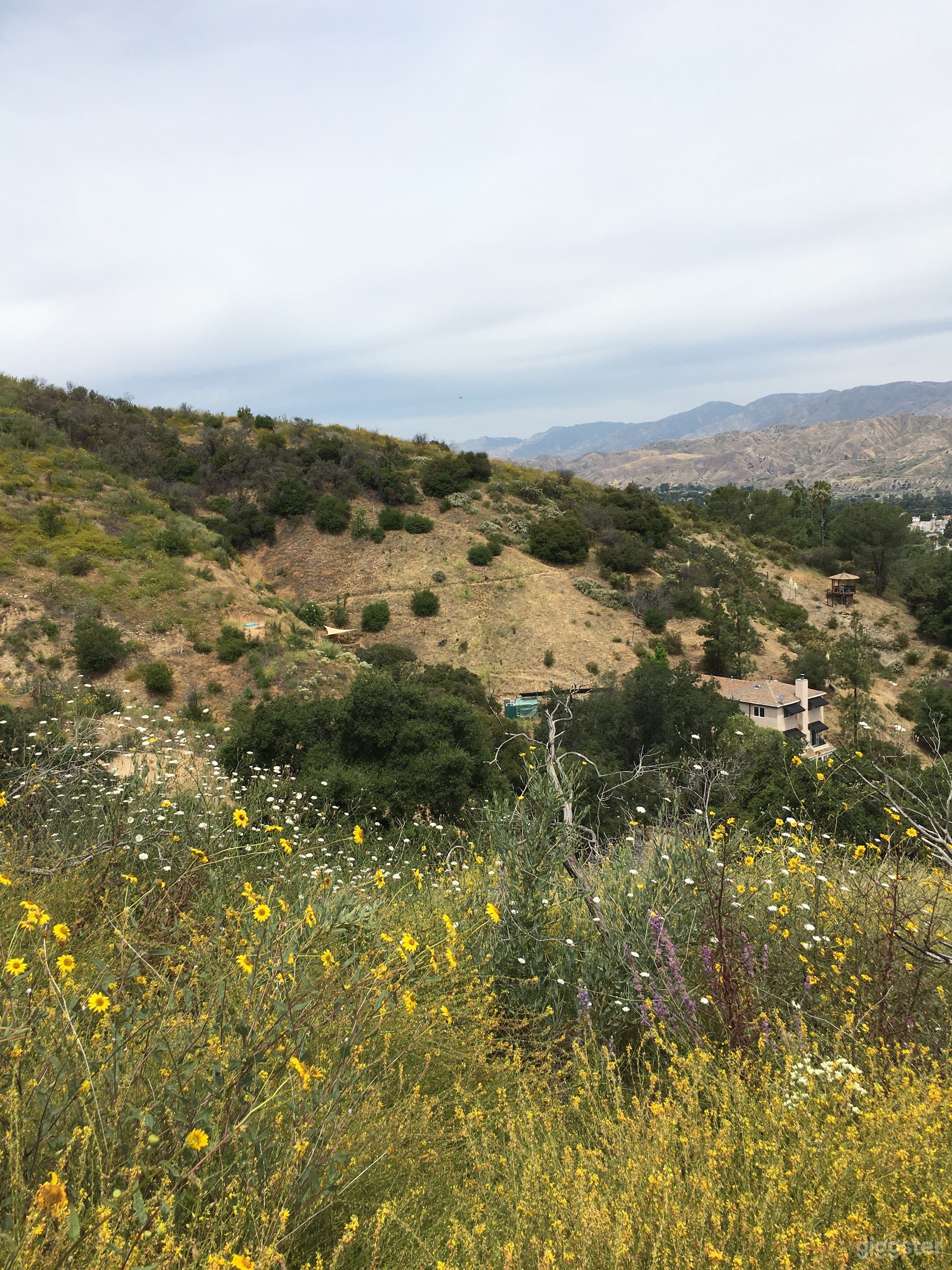 Art Ranch the middle of NOWHERE in Los Angeles Photo 2