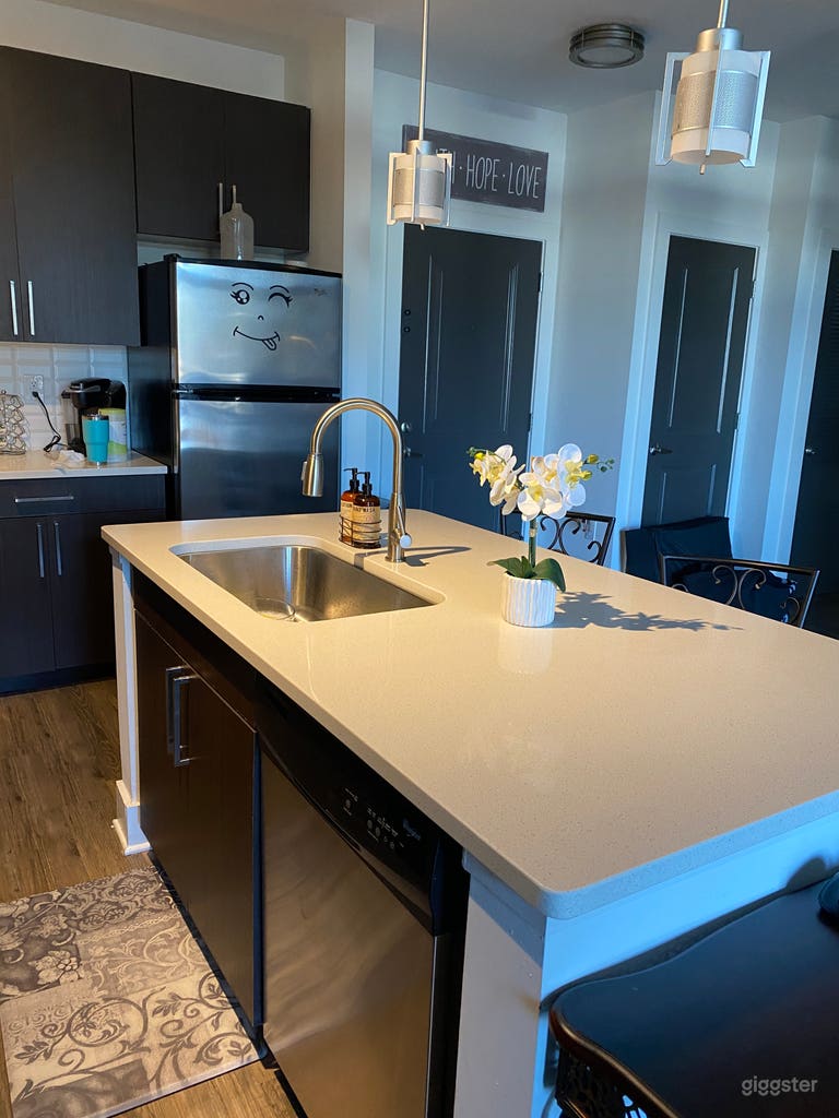  Quartz island with under mount sink. 