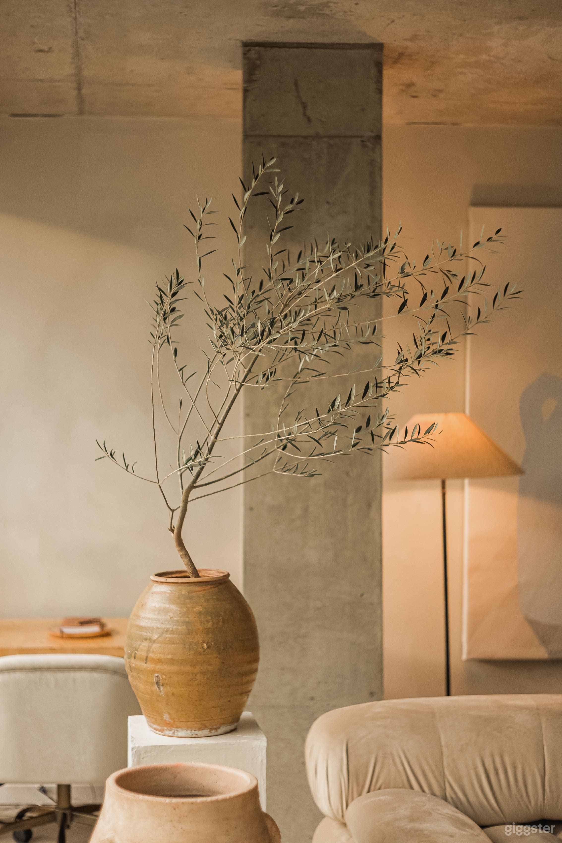 Beautiful Modern Mid-Century Space, downtown Photo 4