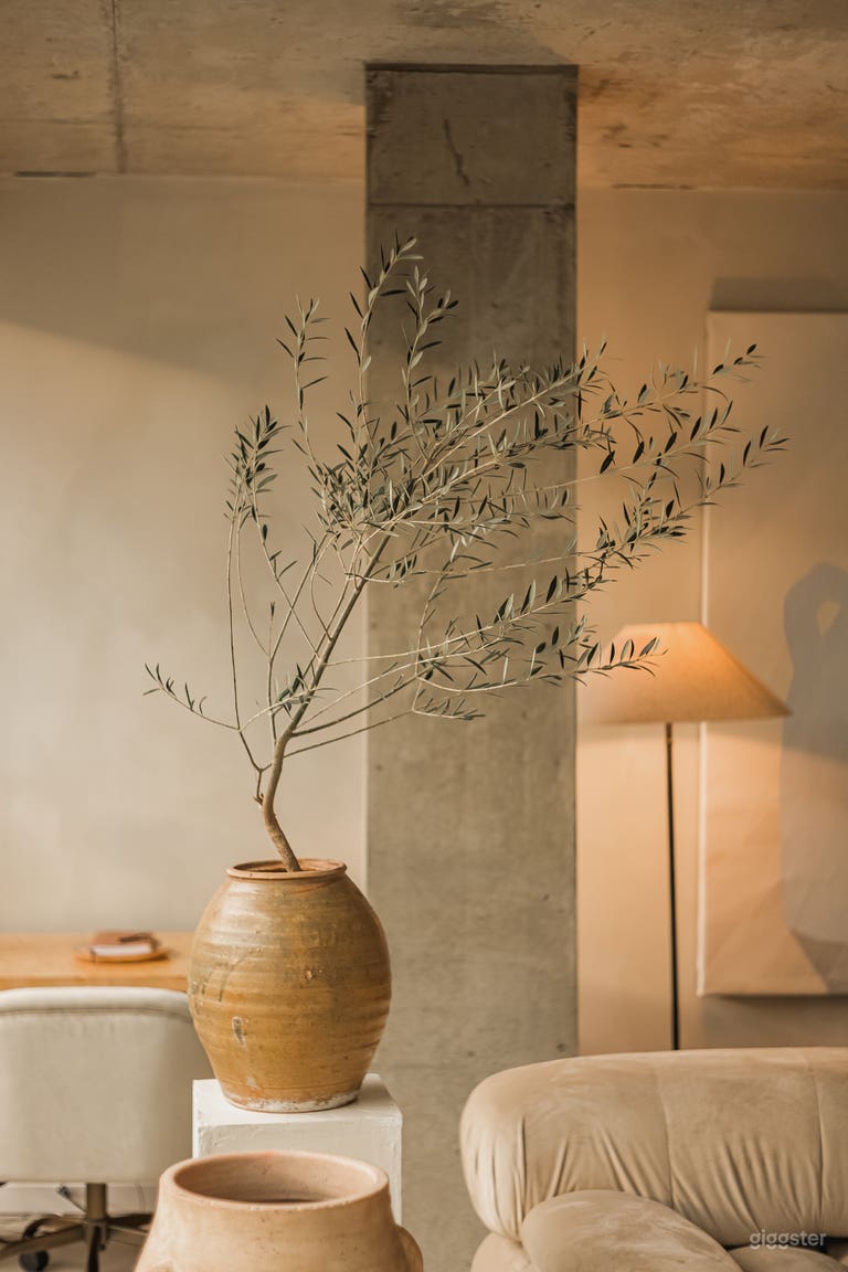  Beautiful Modern Mid-Century Space, downtown 