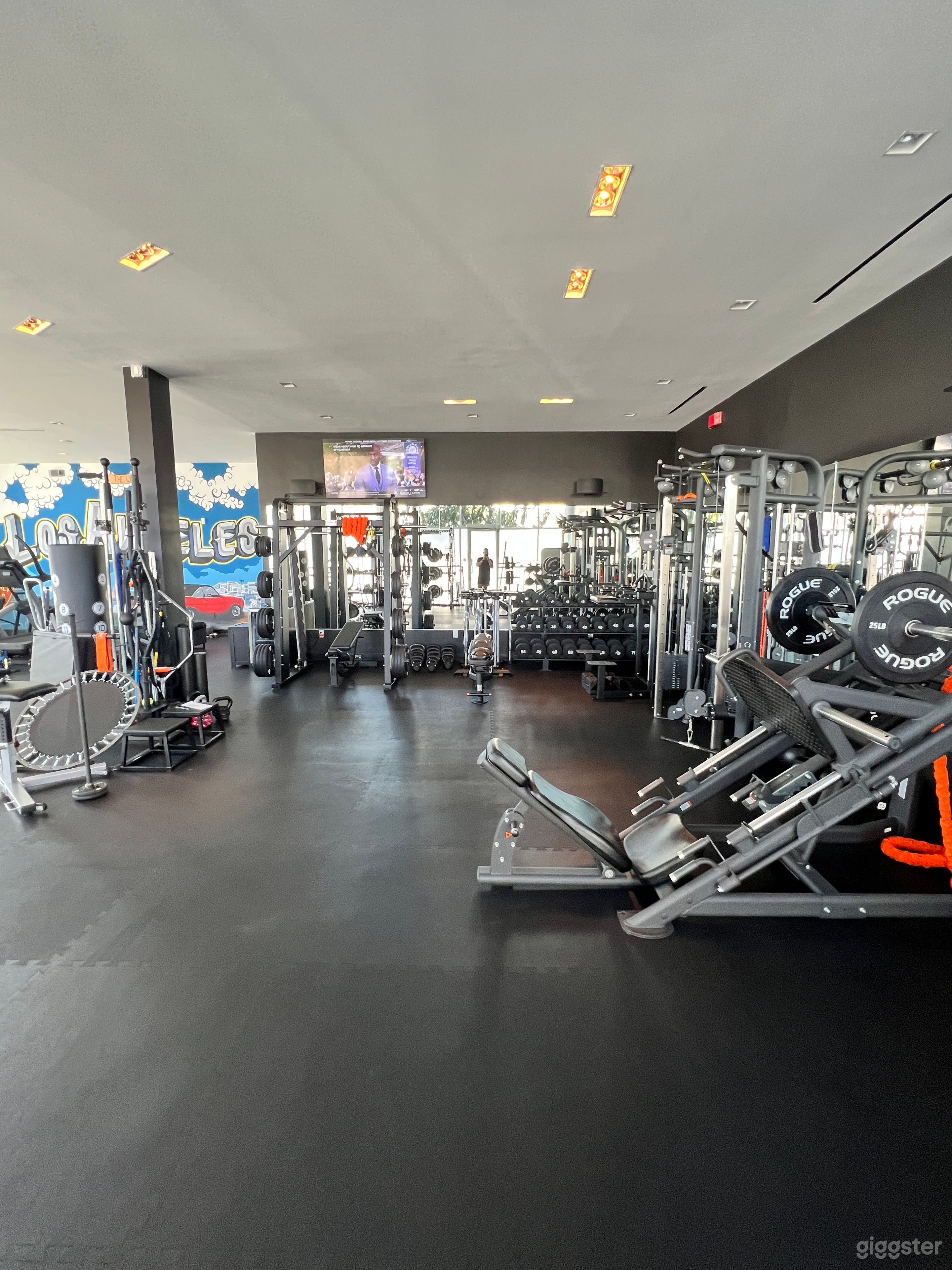 Modern and High-tech Private Gym Photo 1