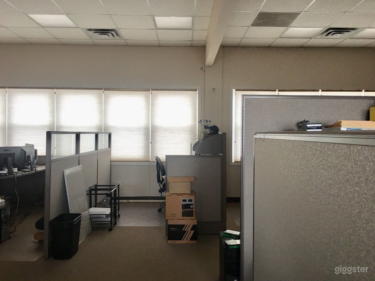 Office on the Bay Photo 2