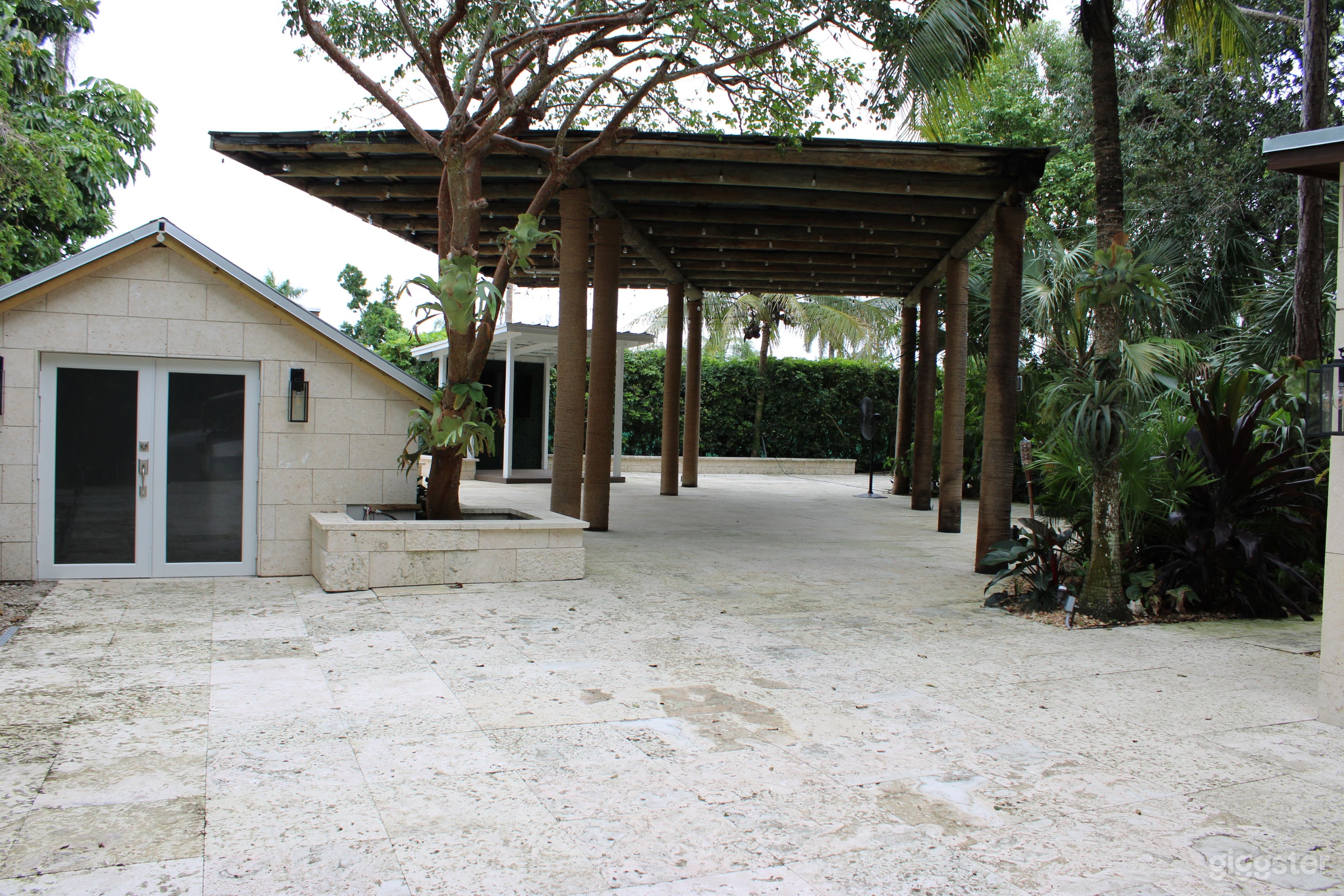 Paradise in the forest Photo 3