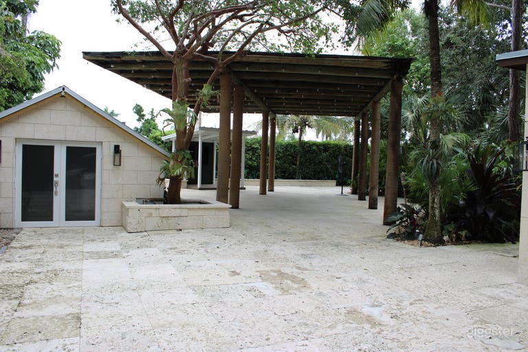  Paradise in the forest 