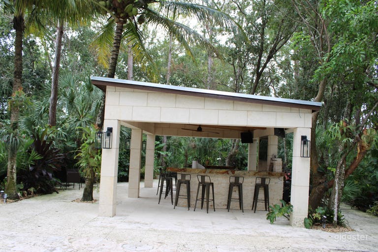  Paradise in the forest 