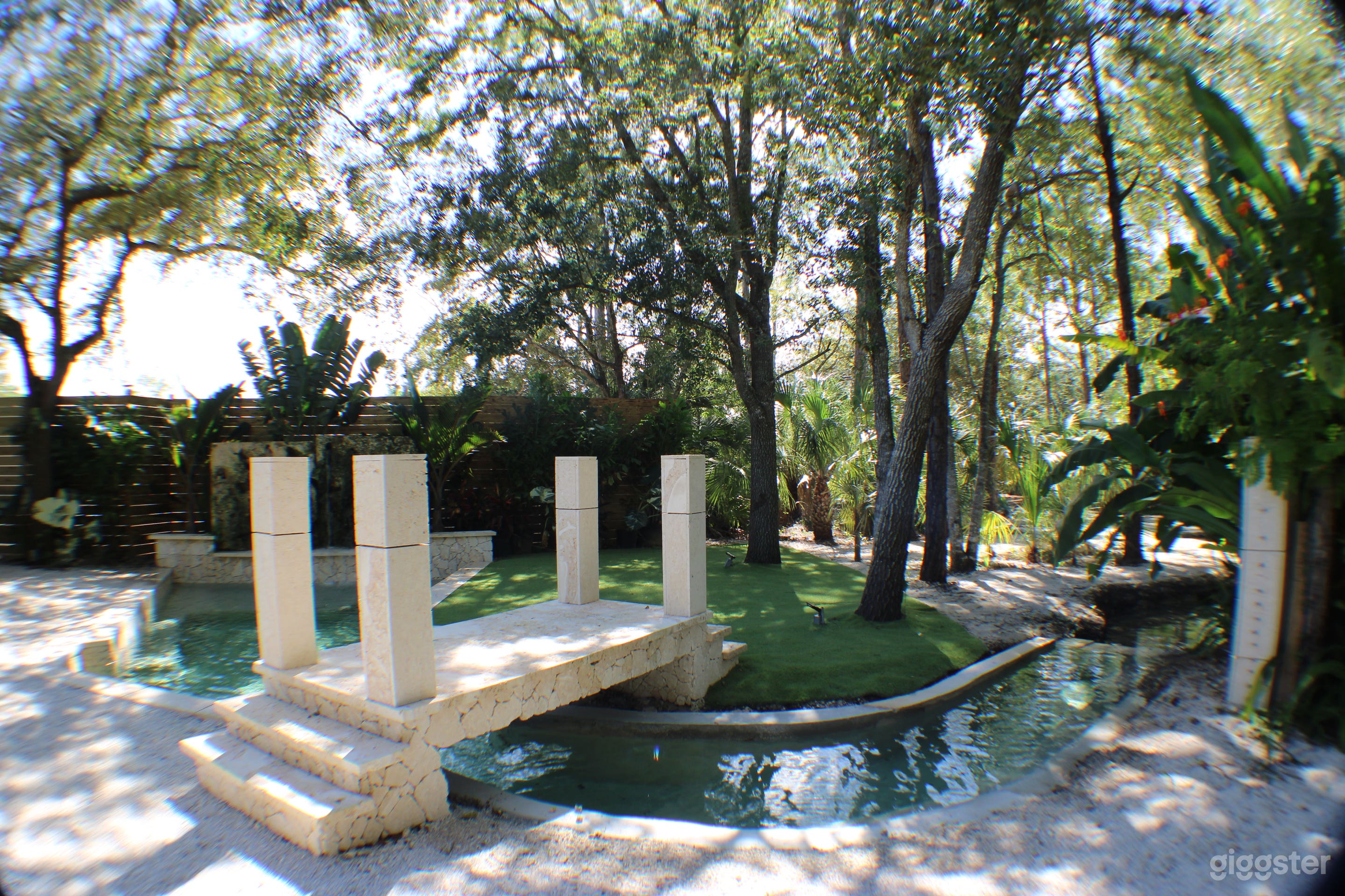 Paradise in the forest Photo 2