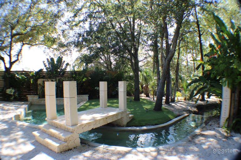  Paradise in the forest 