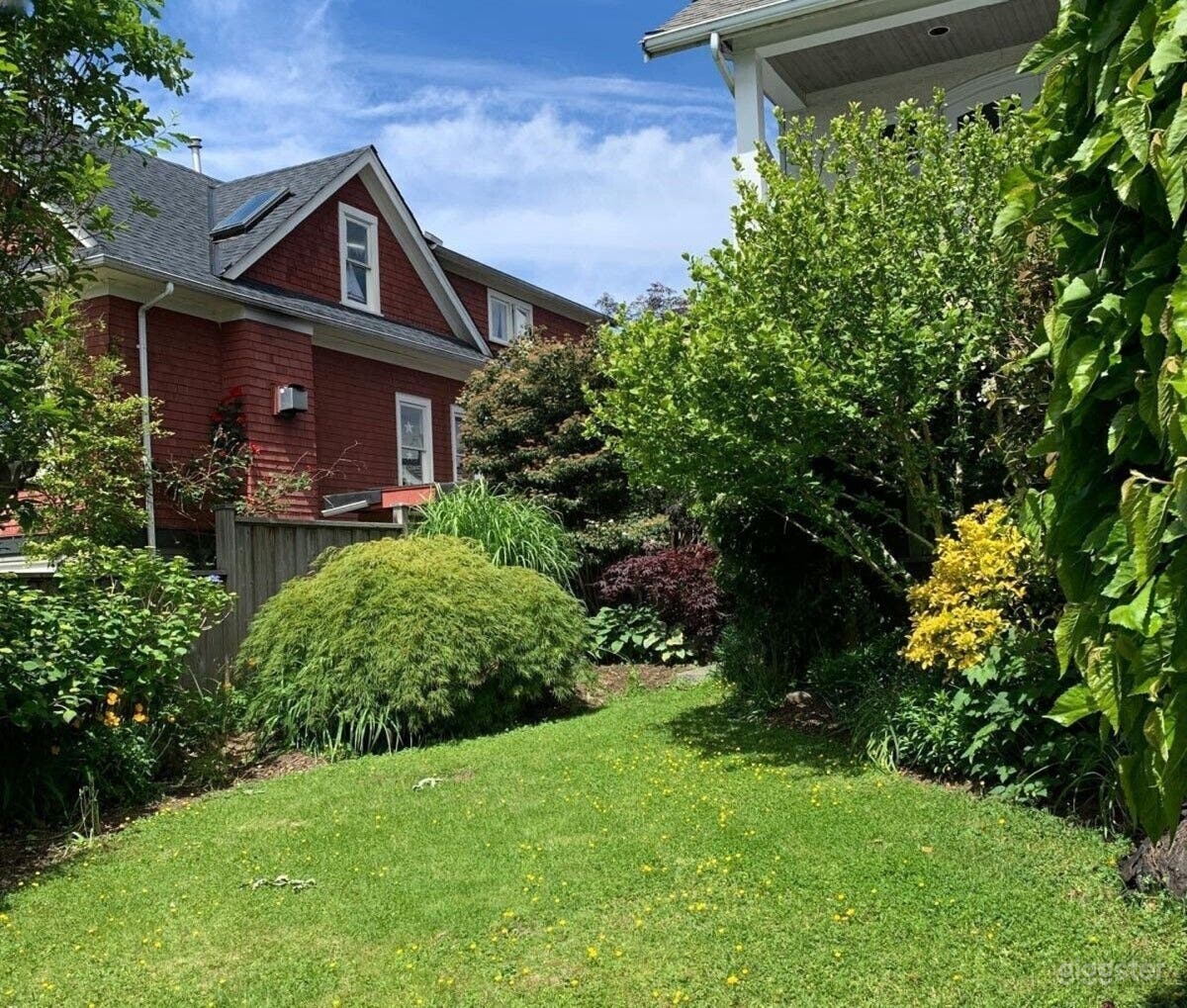 South facing front garden late spring.