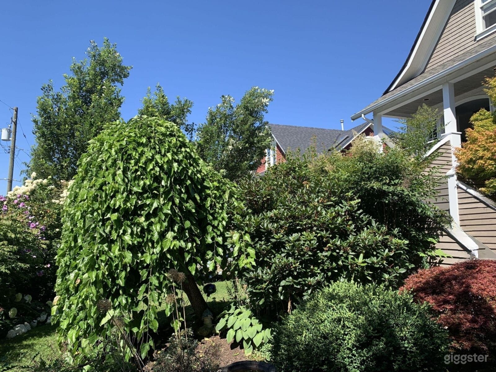 Front garden. South facing.