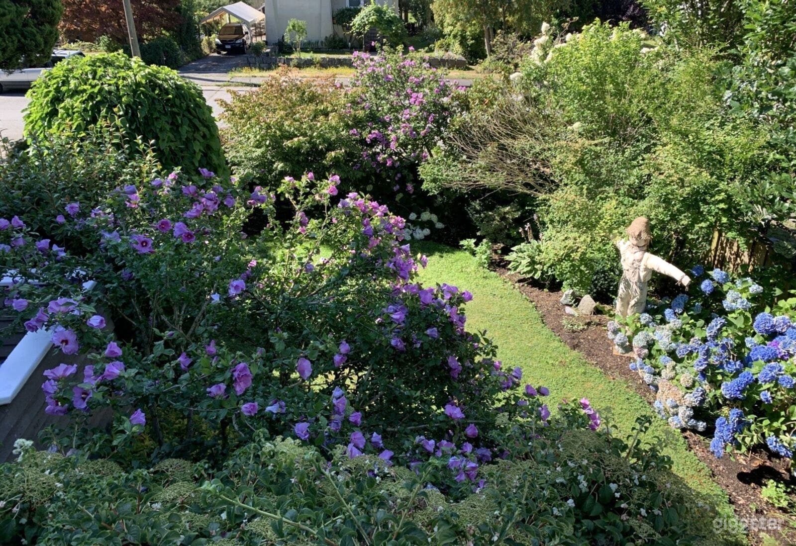 View from front porch of front garden summer.  South facing