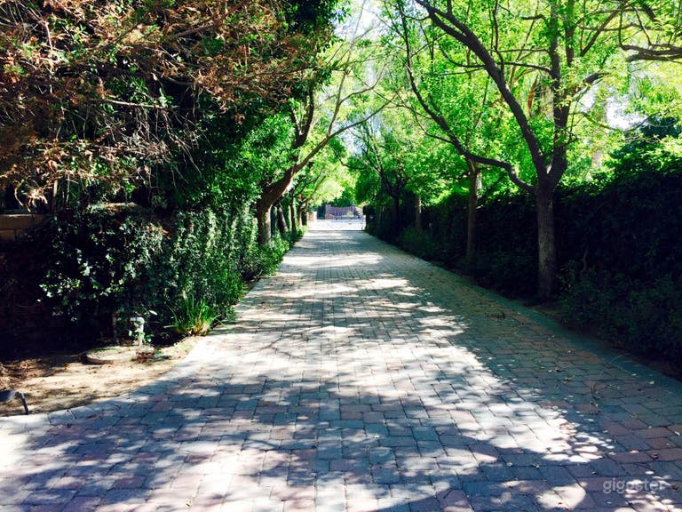  Gated Driveway Entrance (Rear View) 