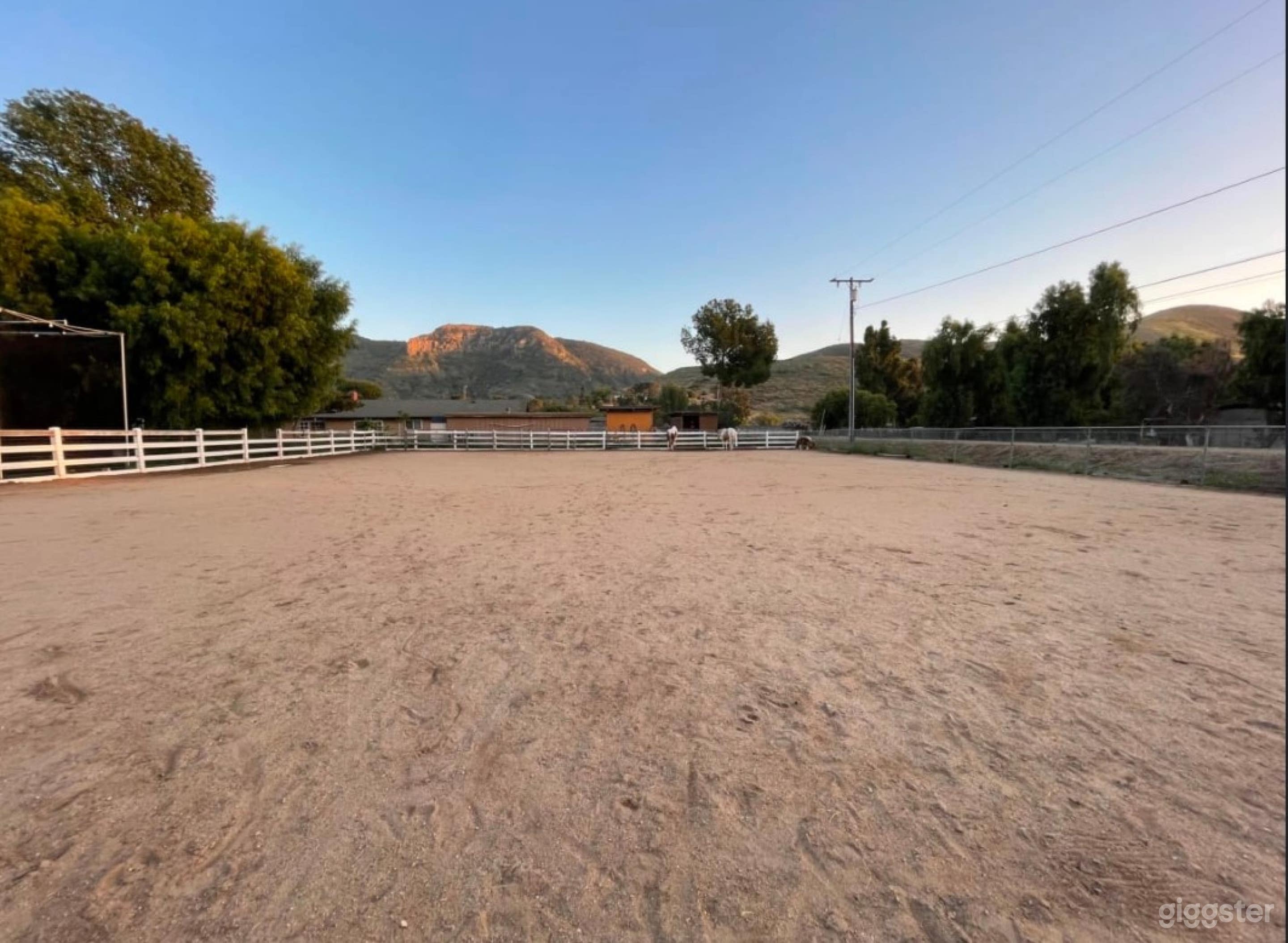 Picture Perfect Outdoor Arena Photo 1