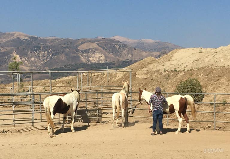  Picture Perfect Outdoor Arena 