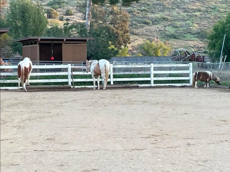  Picture Perfect Outdoor Arena 