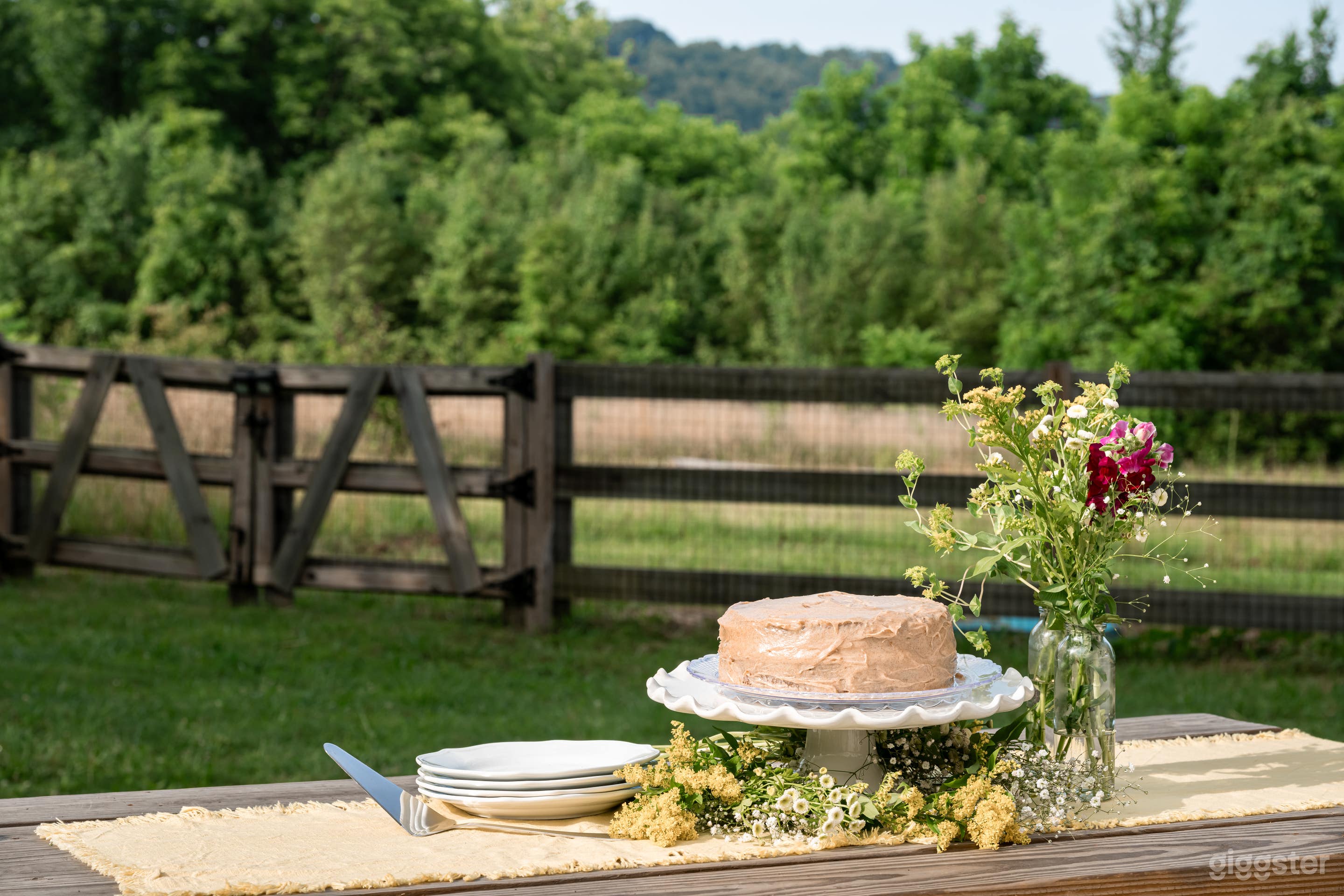 Outdoor Studio in a a country suburb of Knoxville Photo 4