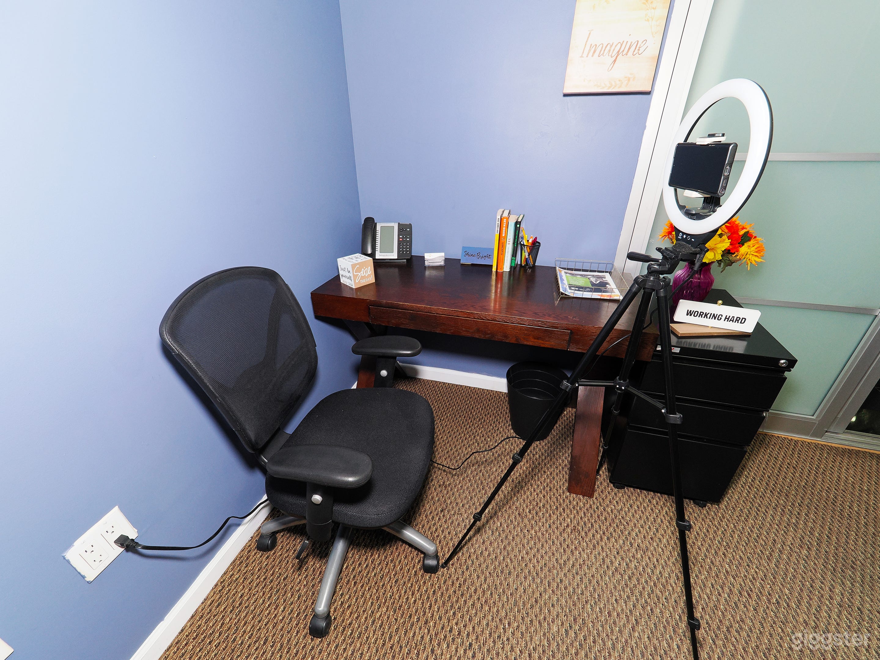 Nice Desk and Chair along with a File Cabinet with Books flowers, signs, and ring light if needed to complete your Zoom and Virtual Calls.  