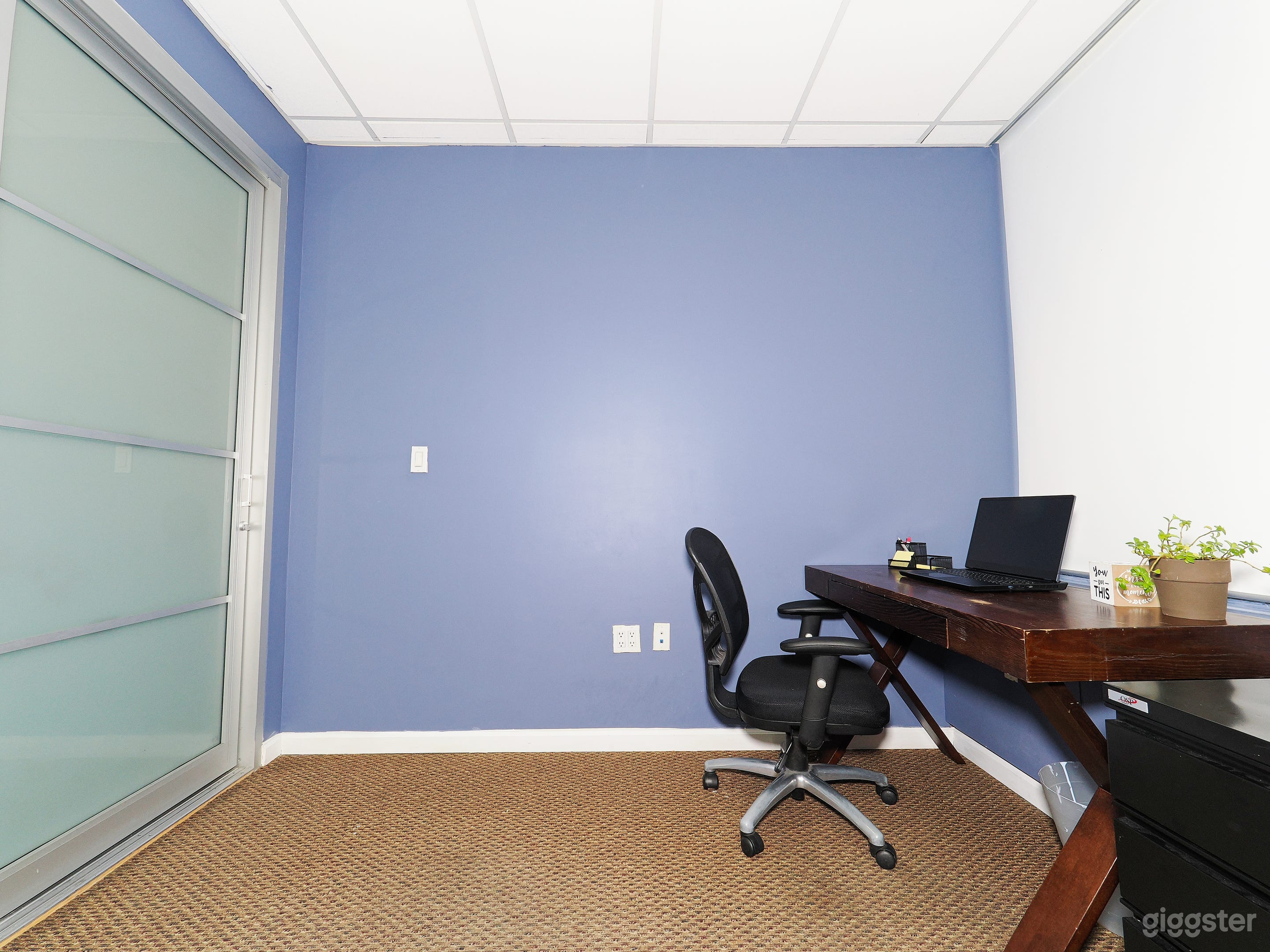 Spacious Office with Desk and Comfy Chair along with a File Cabinet with Books flowers, and motivational placards to keep you motivated.  