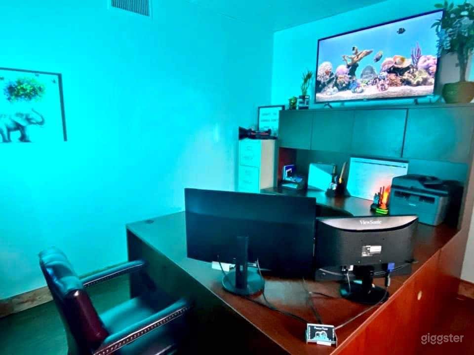 Film/Photo Backdrop Studio - With Skyline View Photo 4