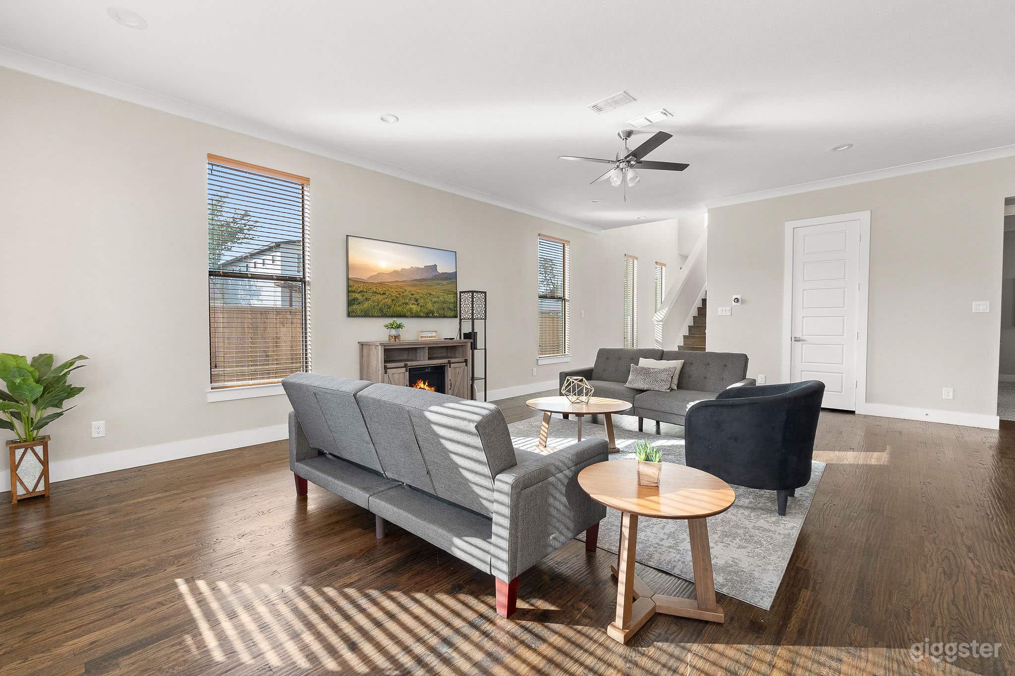 🎥 Versatile Creative Space with Bold Interiors Photo 1