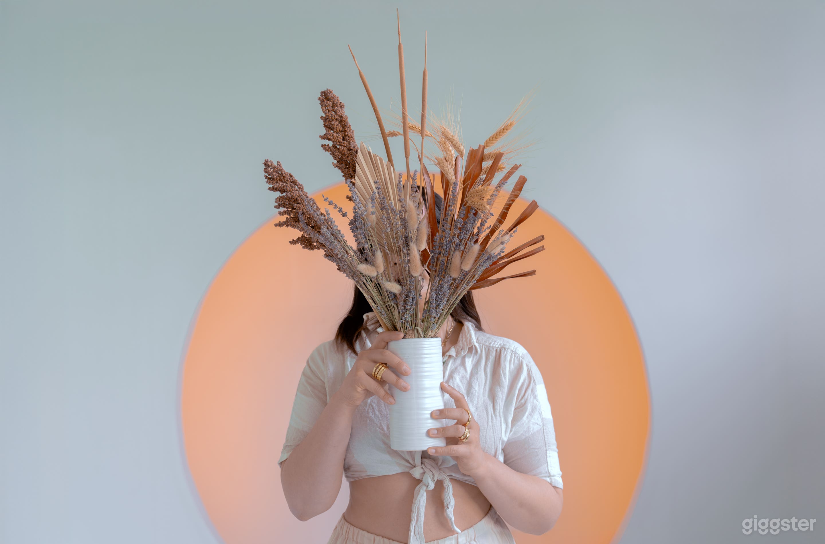 Minimal Circle Wall Studio with LED Color Lights Photo 4