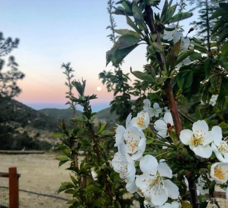  High Desert Multi-Set Cinematic Ranch in Nature/Wilderness 