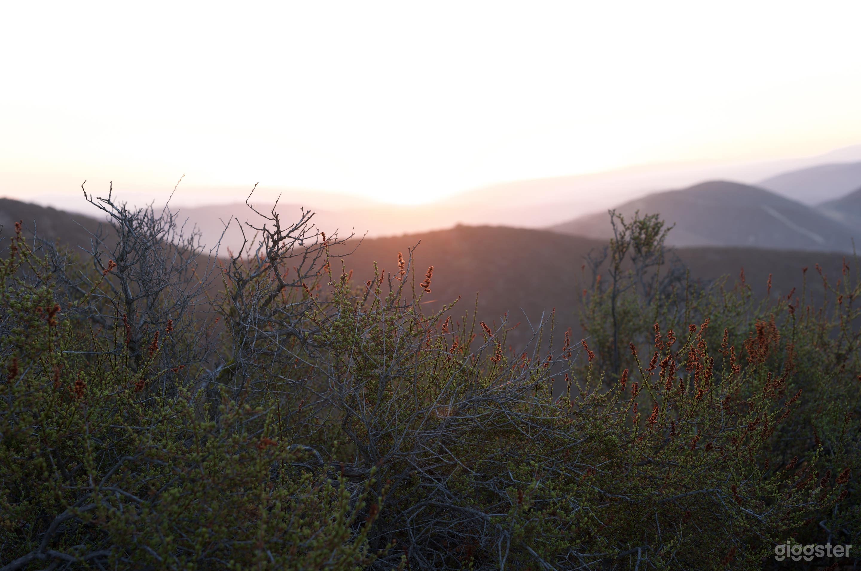 High Desert Multi-Set Cinematic Ranch in Nature/Wilderness Photo 4