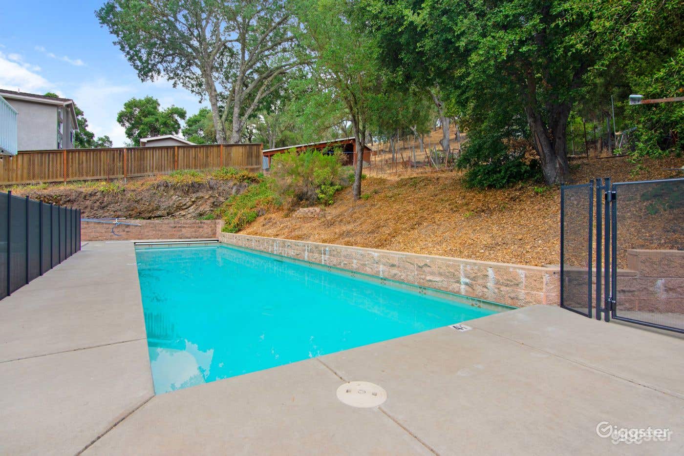 Lovely Long Rectangular Pool  Photo 3