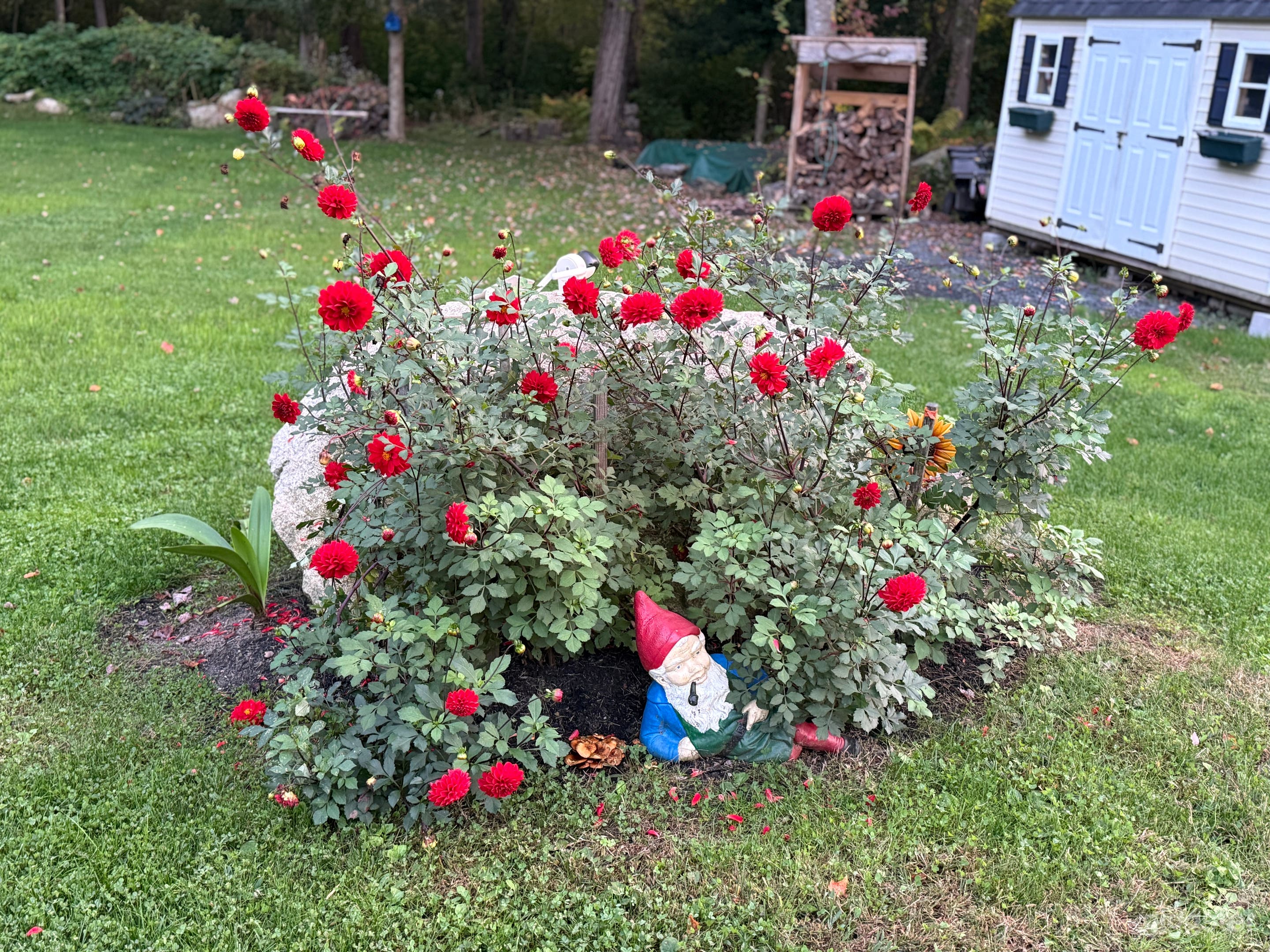 Colonial Home with Large Yard in Bridgewater on cul de sac Photo 4