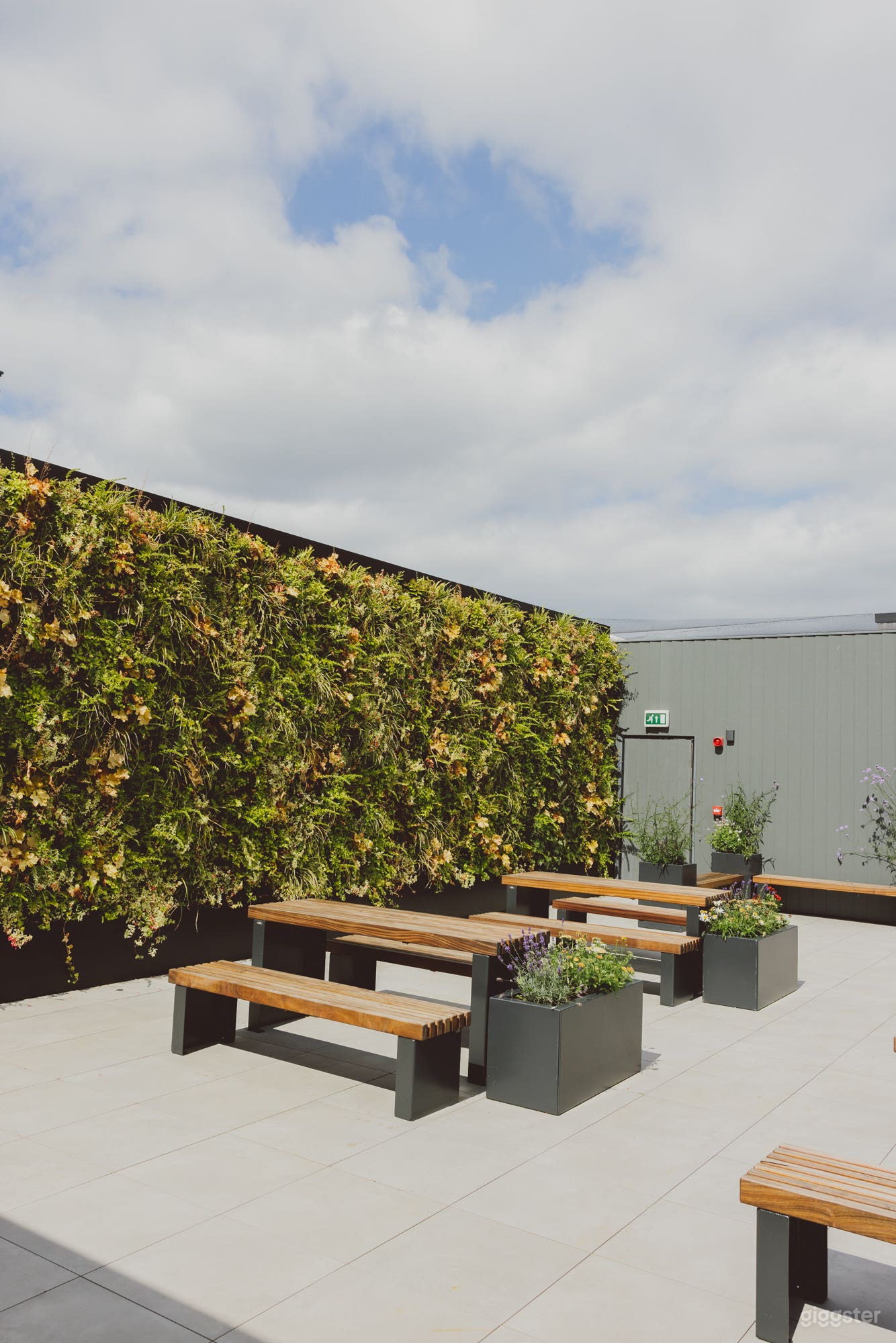 Bright and Sunny Outdoor Terrace Photo 2