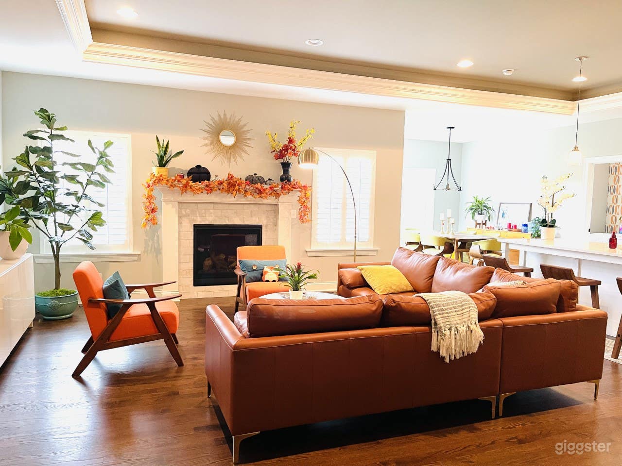 Mid-century modern home Photo 4