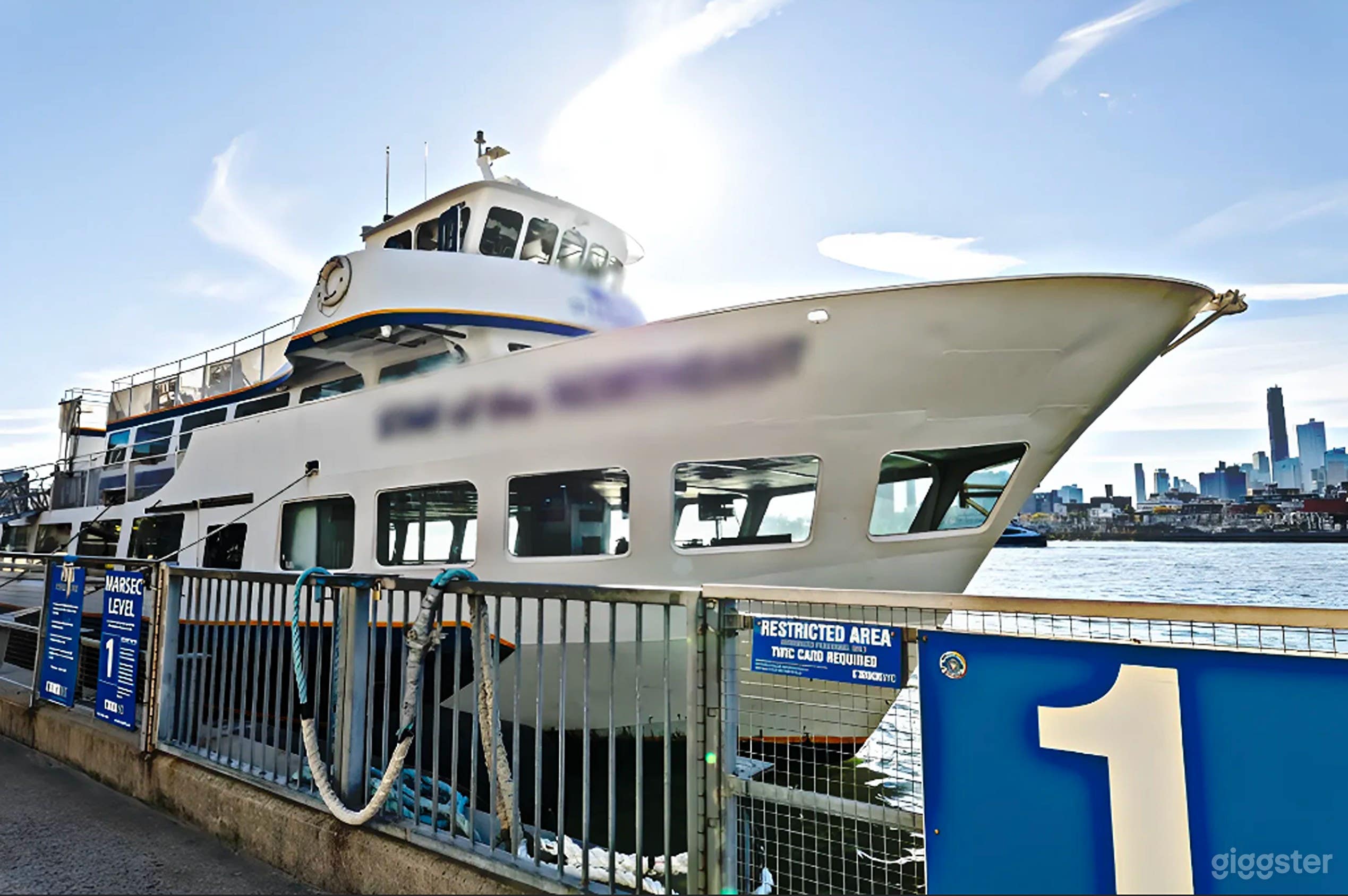 Luxury Multi-Level Yacht Charter Photo 1