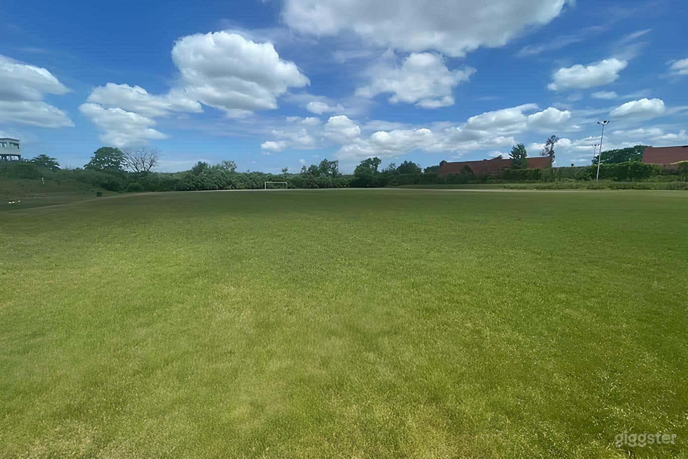 Outdoor Grass Field Photo 1