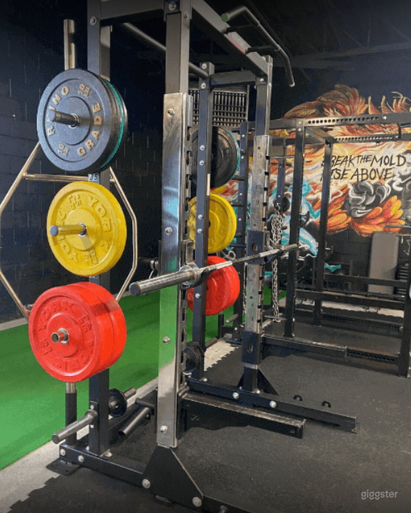 Room 1 - Strengthening Room with Turf Strips Photo 4