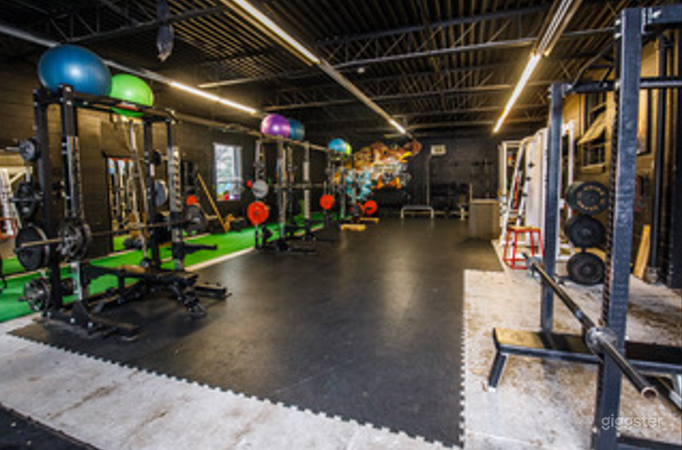 Room 1 - Strengthening Room with Turf Strips Photo 3