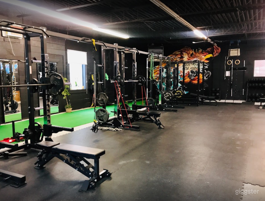 Room 1 - Strengthening Room with Turf Strips Photo 1