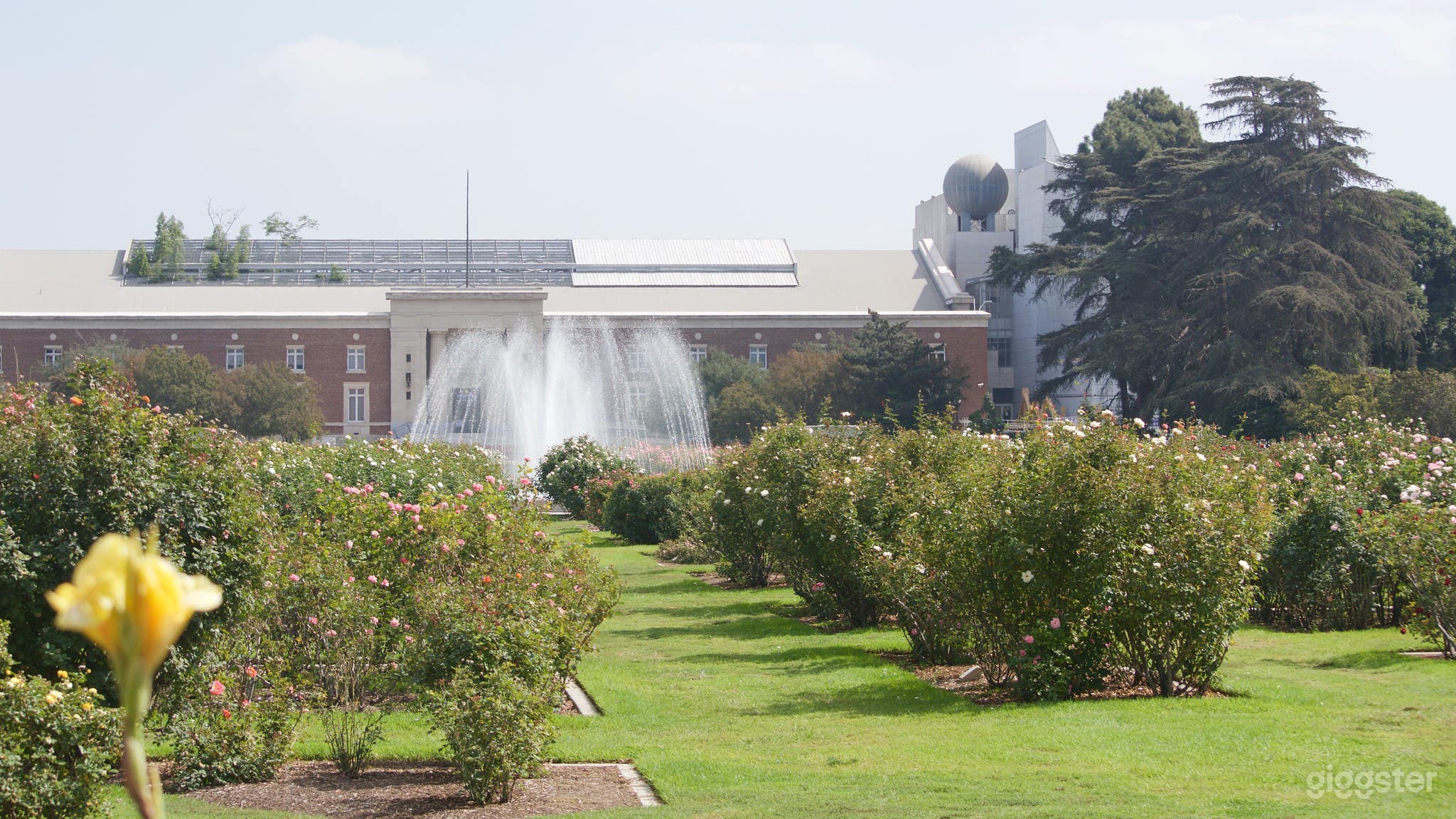 Exposition Park Rose Garden Photo 1