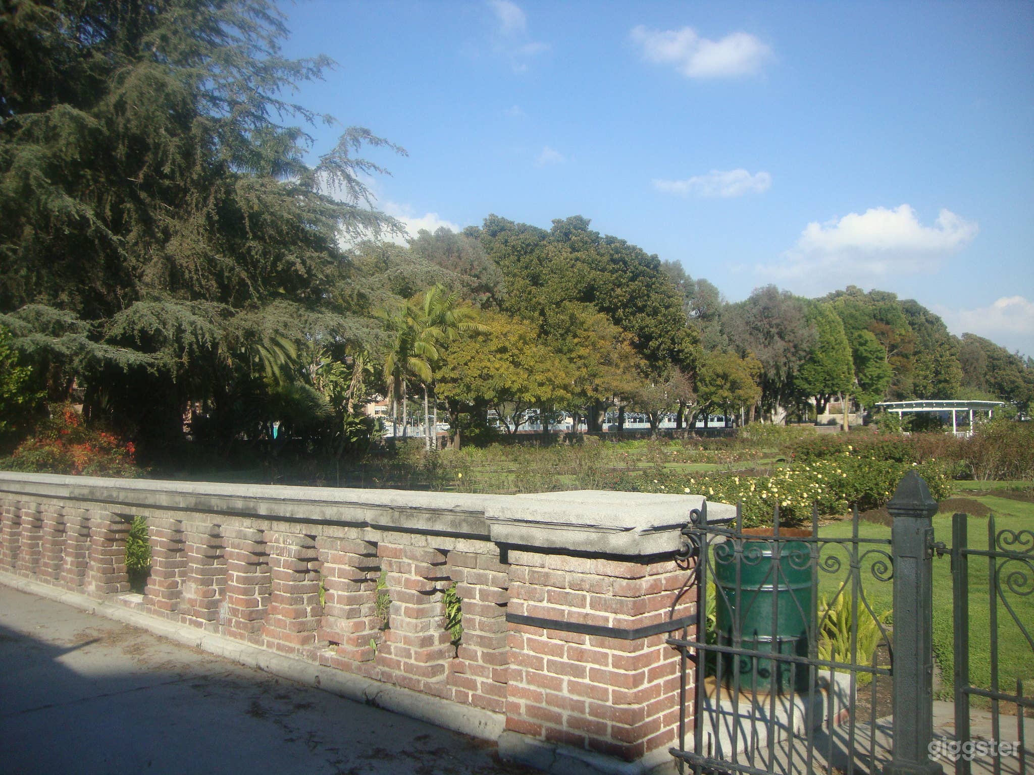 Exposition Park Rose Garden Photo 4