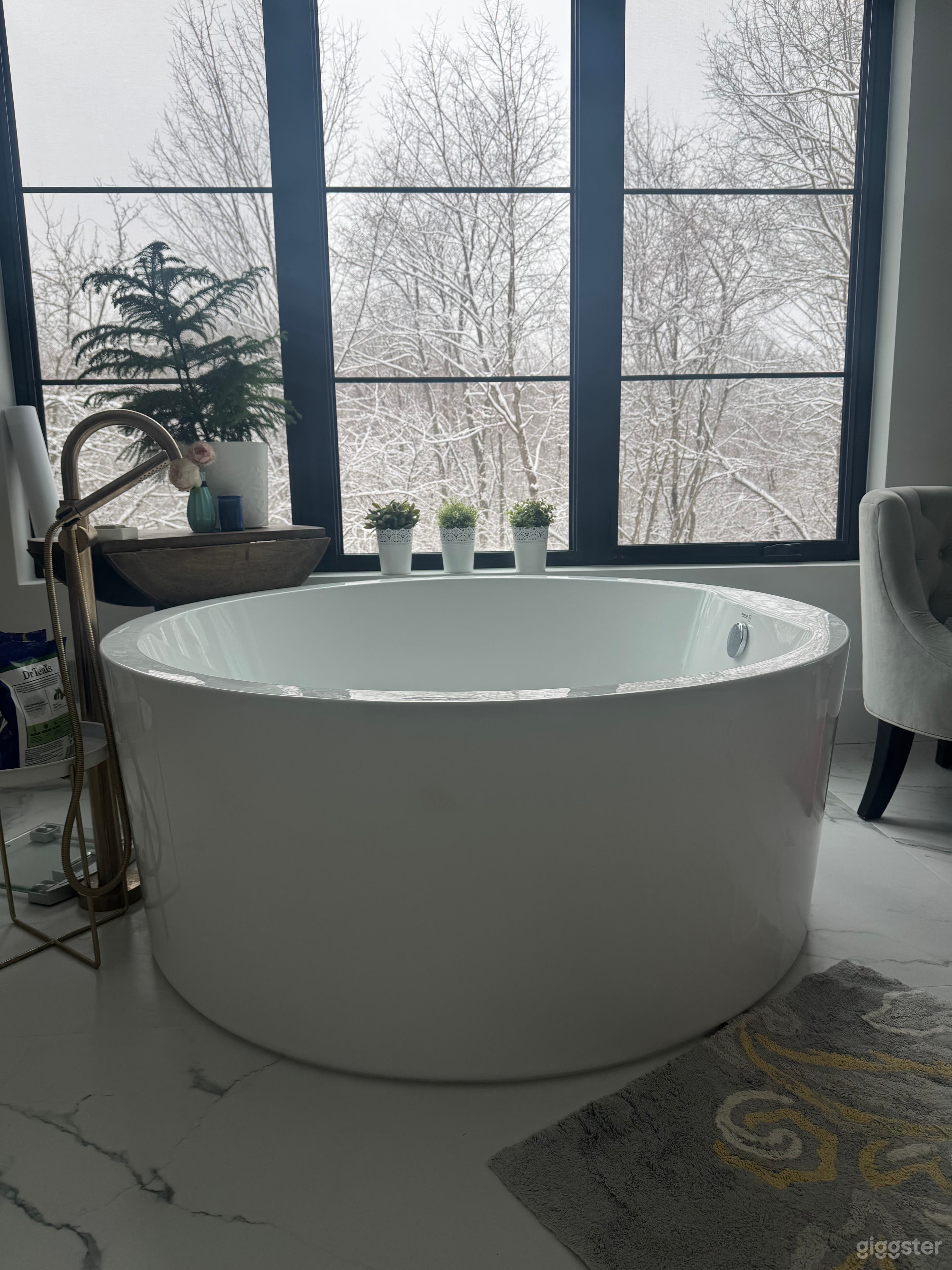 Organic Wooded Michigan Mini Mansion Photo 4