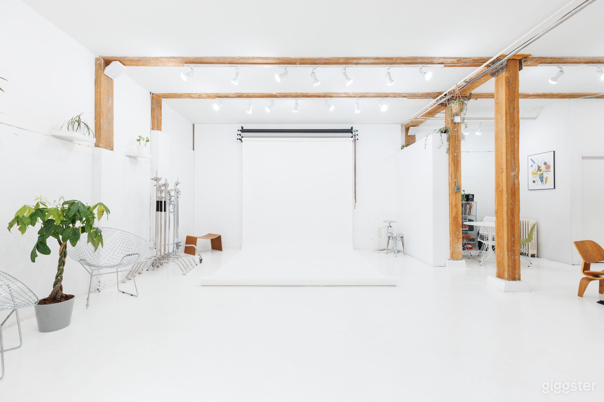 Bright &amp; Spacious Mount Pleasant Studio Photo 4