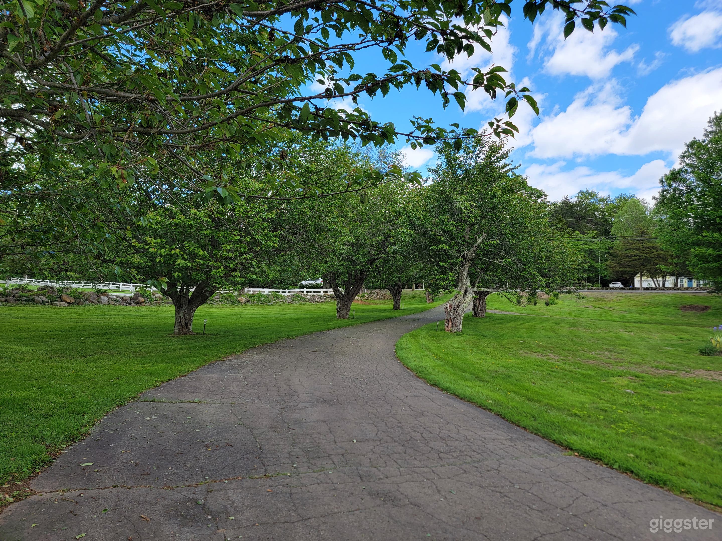 Angel &amp; Sofia Garden Grounds Photo 4