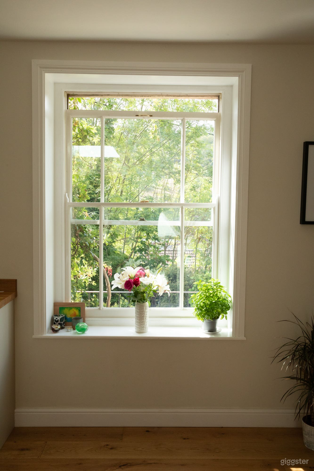 Kitchen window