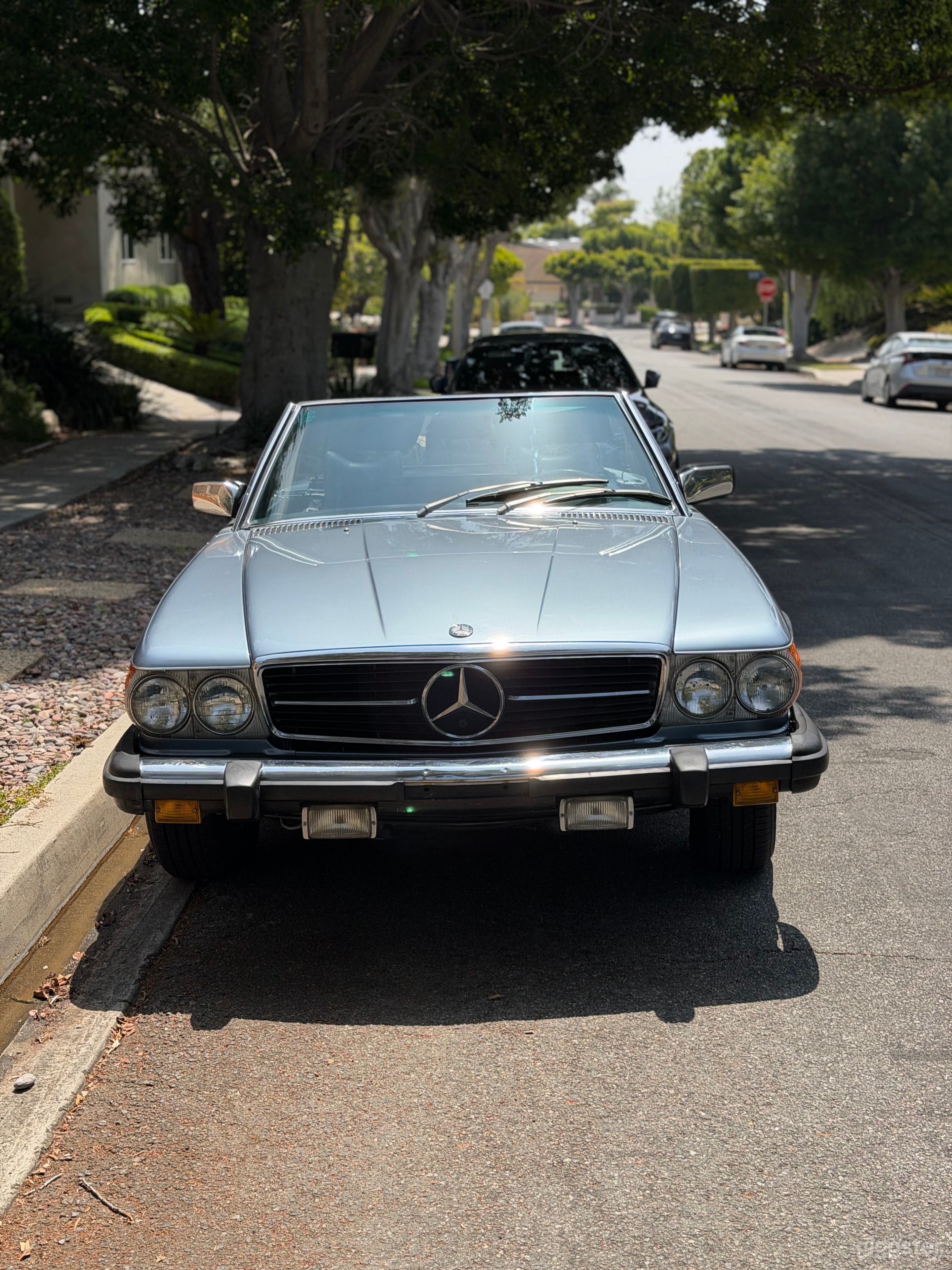 Classic 1978 Mercedes 450SL California Cruiser Photo 3
