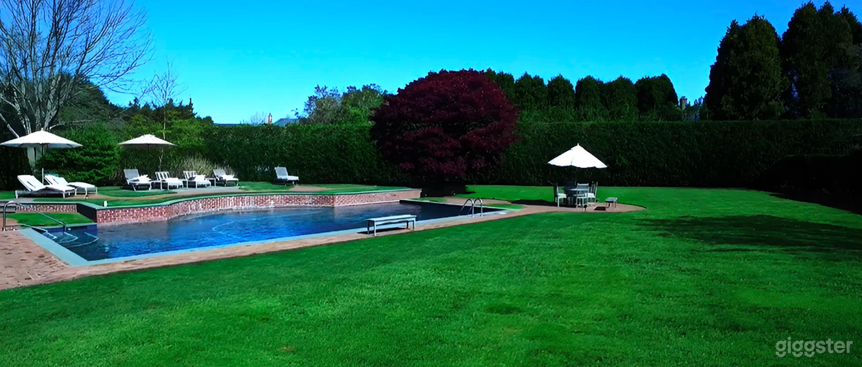 Luxury Custom-Shaped Pool Photo 3