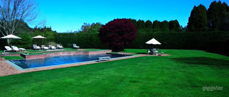  Luxury Custom-Shaped Pool 